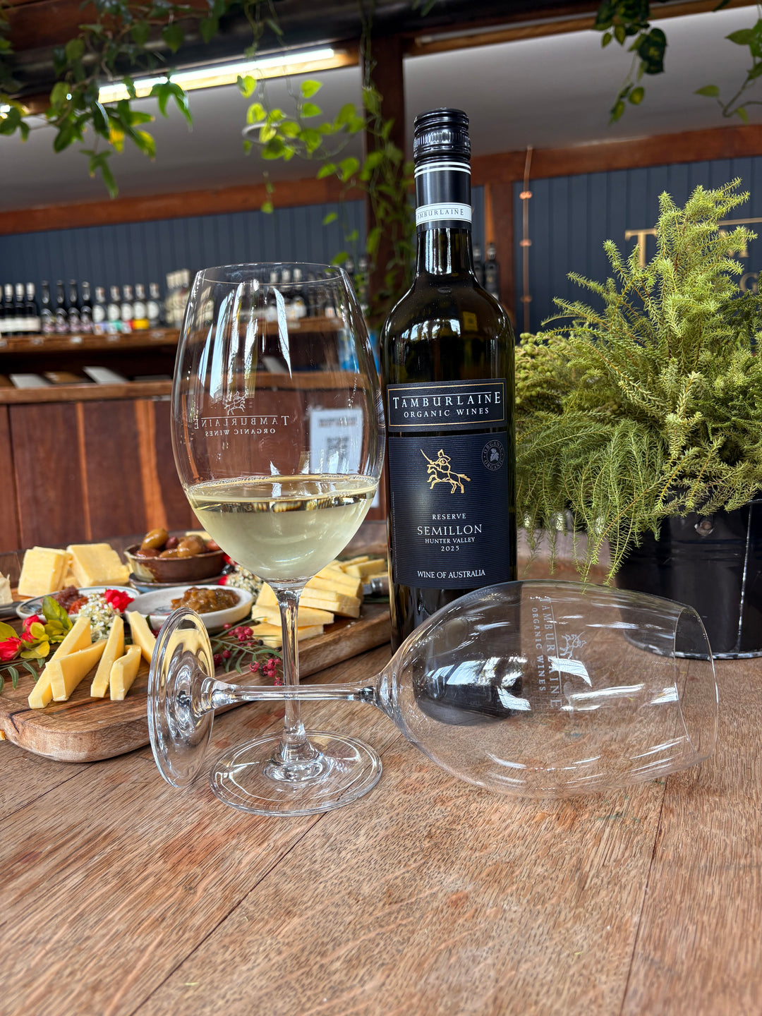 2025 Reserve Hunter Valley Semillon