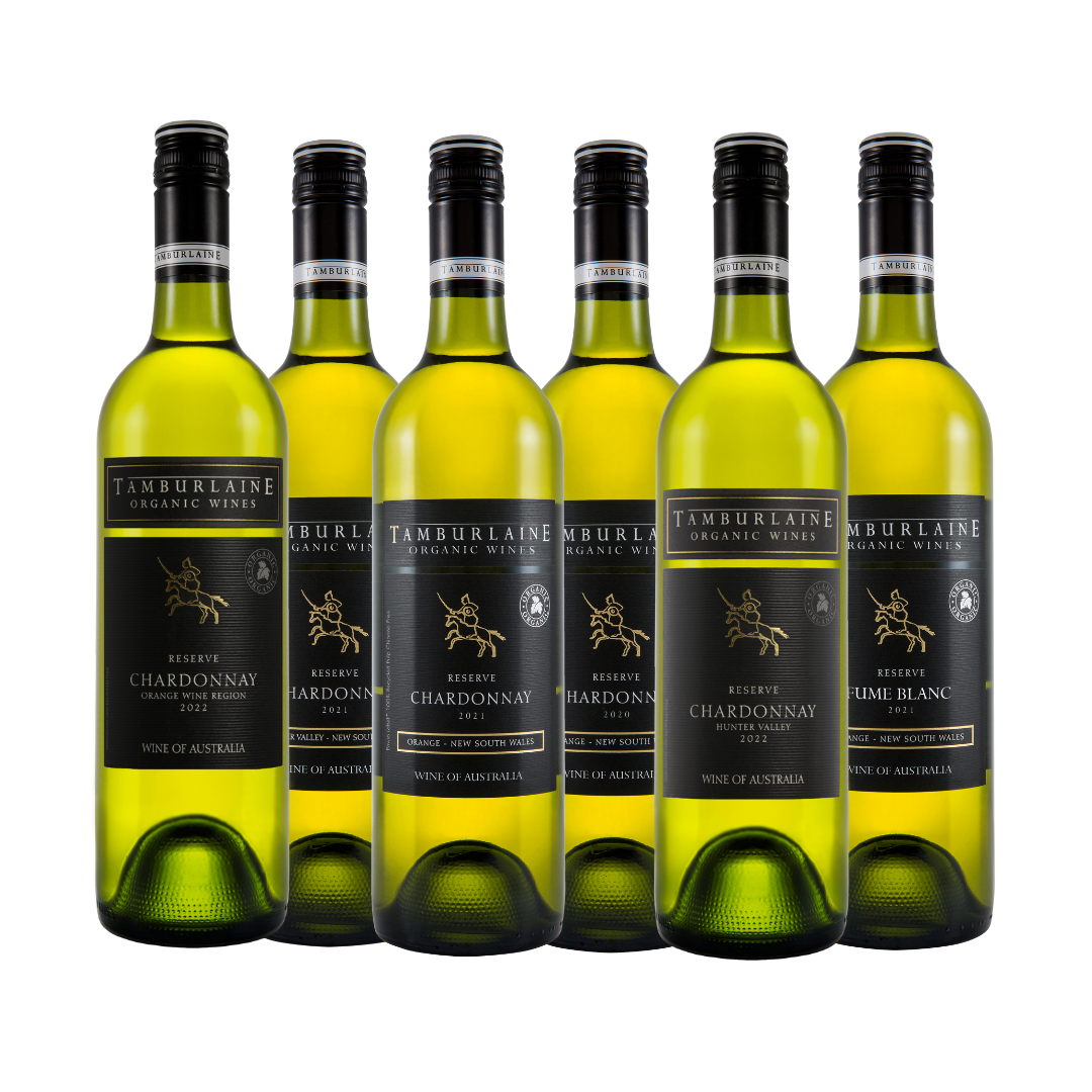 Stellar Cellar Oaked White 6-pack