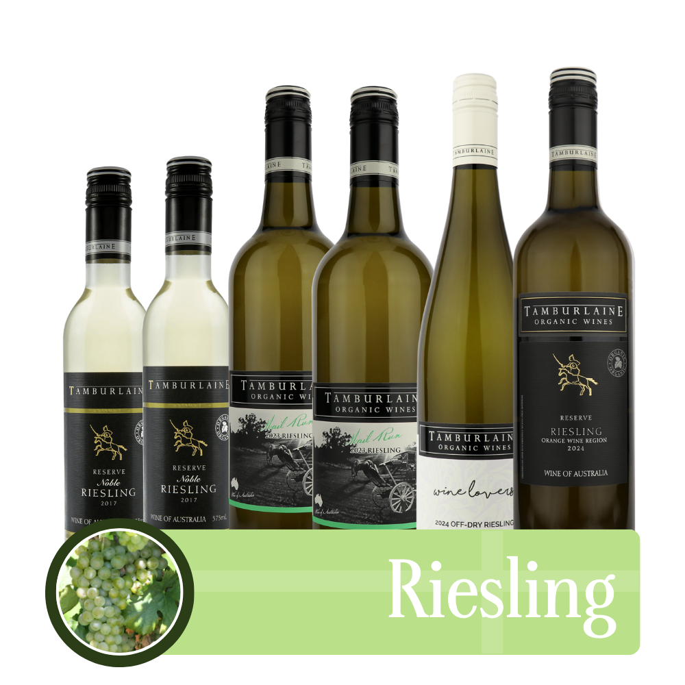 Riesling Bundle 6 pack