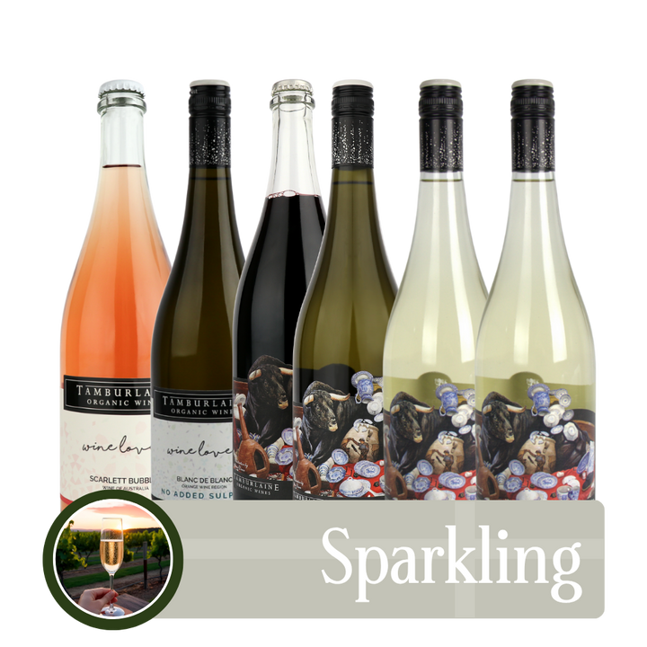 Sparkling Bundle 6 pack