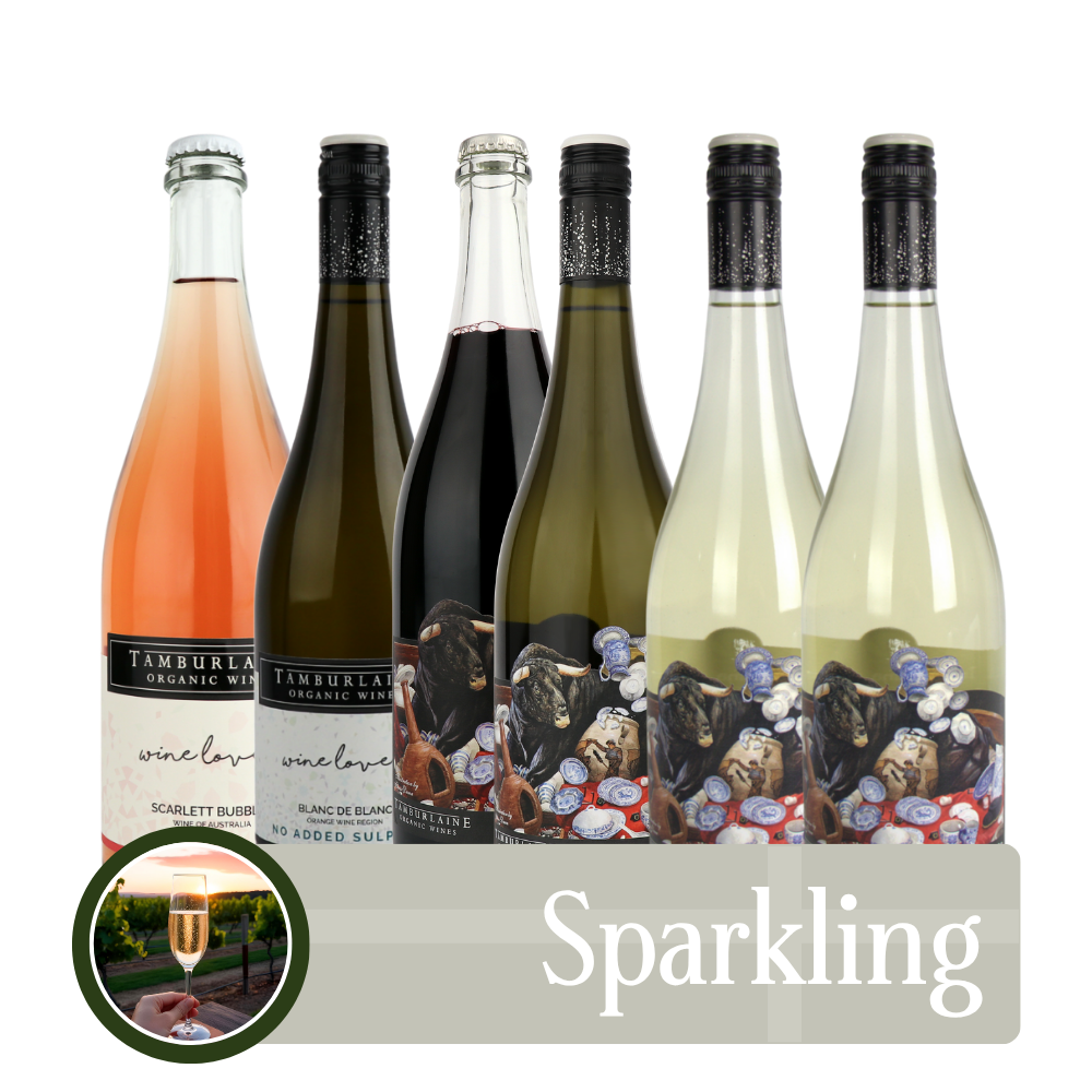 Sparkling Bundle 6 pack